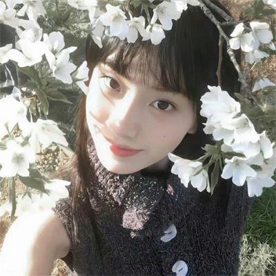 上海狂想曲